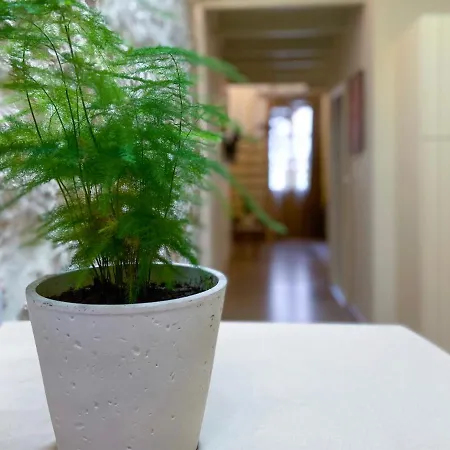 Casa Maistra Rethimno